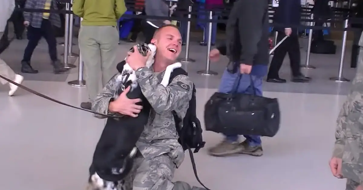 dog and soldier reunited