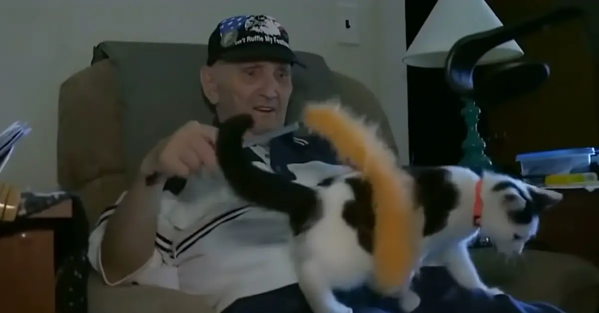 cat saves elderly mans life